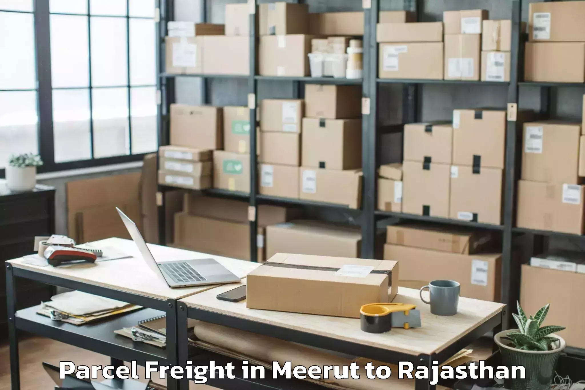 Discover Meerut to Jhadol Parcel Freight